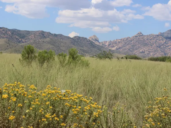 245 S Willcox Rd, Pearce, AZ 85625