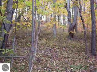 Sylvan Rd, Frankfort, MI 49635