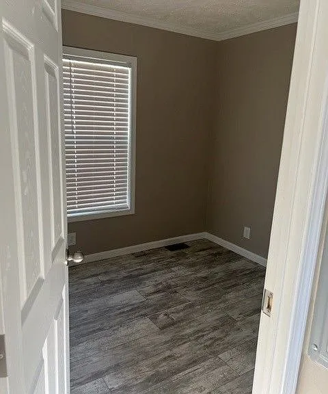 Palmetto Palms — Photo 41