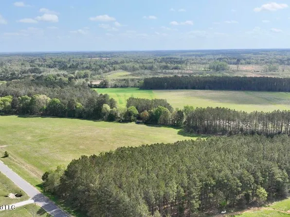 13 Stump Bridge Rd, Canton, MS 39046