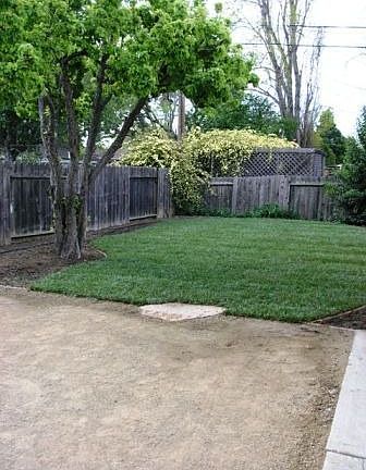 backyard landscaped 2008