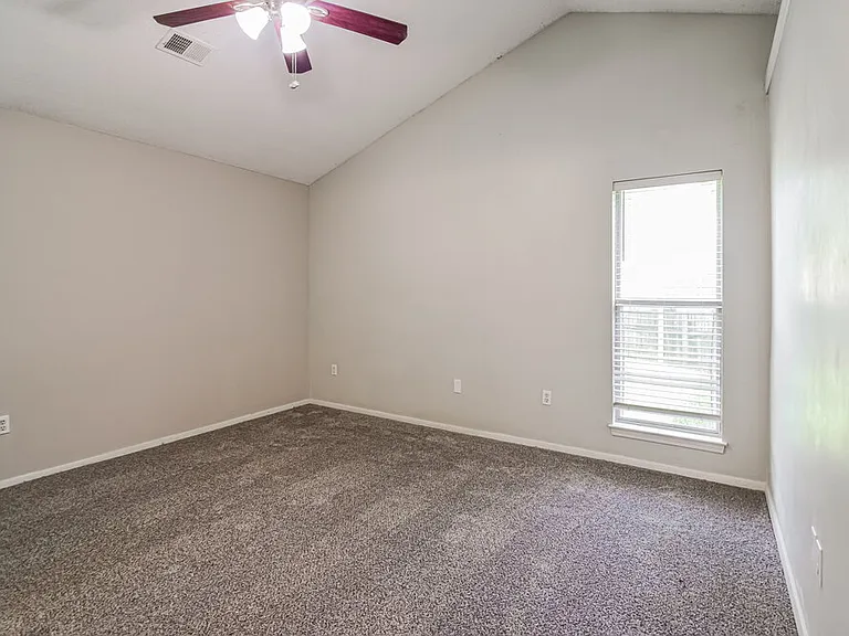 10368 Palmer Cv — Photo 9