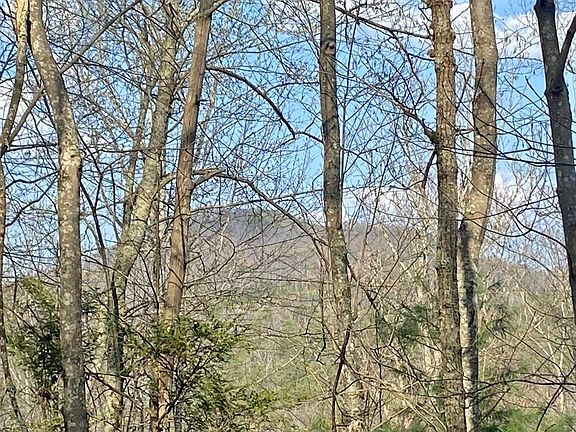 4th image of 96 Whetstone Rd Lot 96