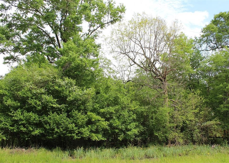 1st image of 0 Sour Lake Cir #Lot 376