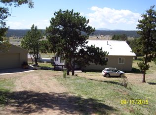 153 Dillon Ln, Florissant, CO 80816
