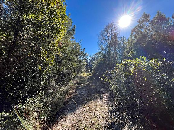 2nd image of 223 Mourning Dove Road