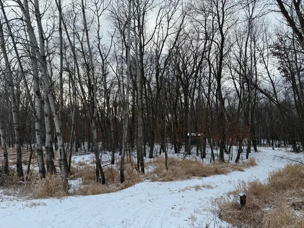 Csah #20, Paynesville, MN 56362