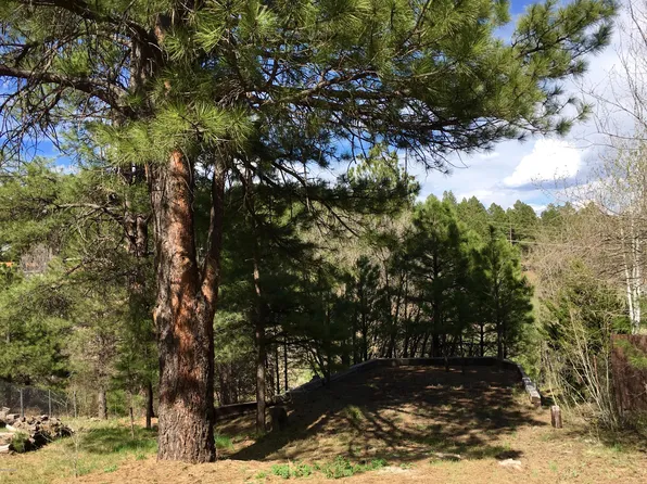 3064 Mesa Trl, Flagstaff, AZ 86005