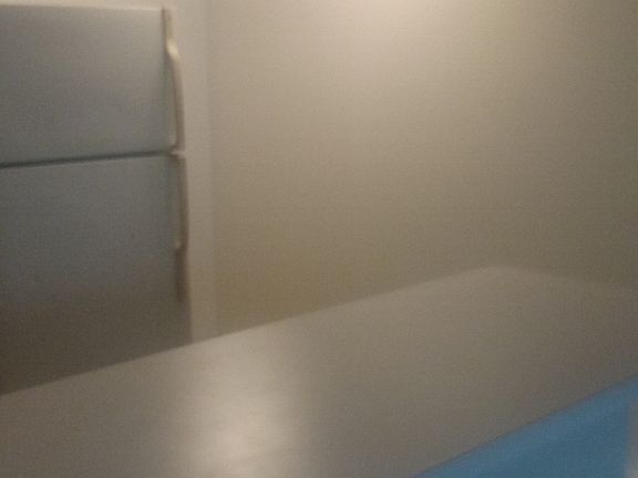 2nd image of 146 N Waller Ave APT 1W