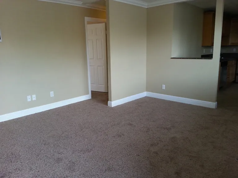 1371 E Washington Ave #103 — Photo 6