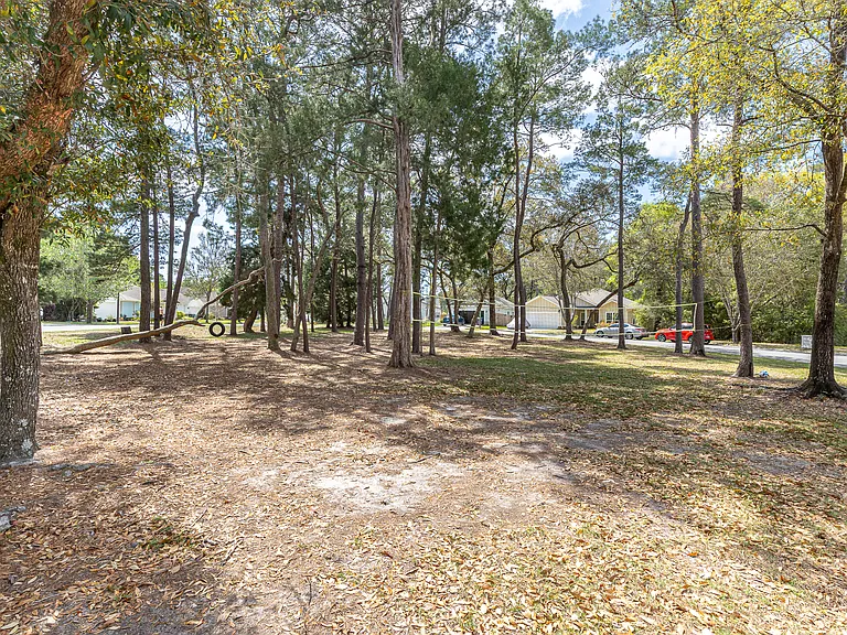 Community Park Area