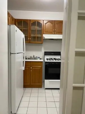 Rented by Manhattan Flats | media 20