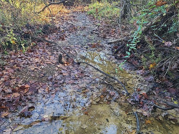 3rd image of 8314 County Road 625 E