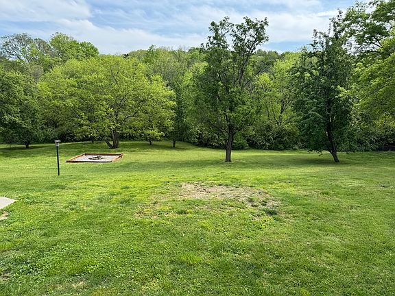 Back Yard with fire pit. Family of Blue Birds nest in the bird house every year.