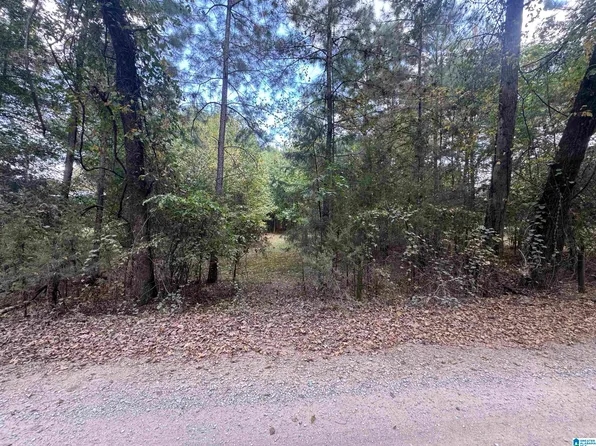 0 Alex Mill Rd #1, Montevallo, AL 35115