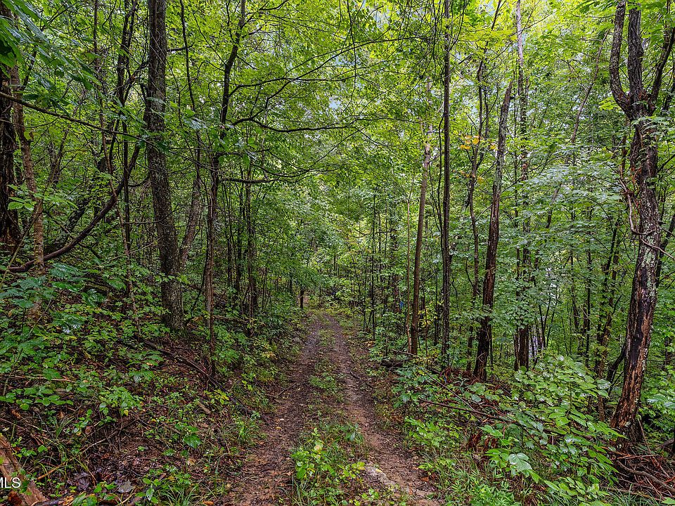 76th image of this home