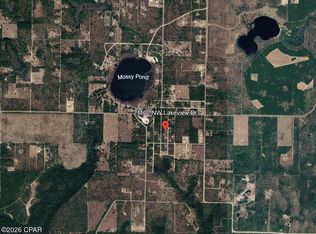 21102 NW Lakeview Dr, Altha, FL 32421