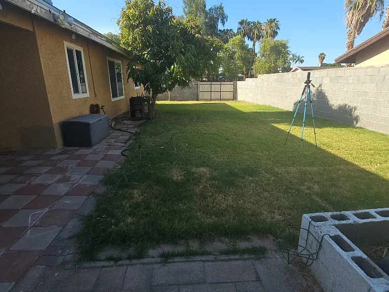 Backyard