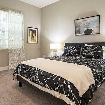5th image of 3130 W Latitude Cir APT 202