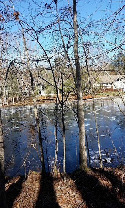 1st image of 129 Brantenwood Cir Lot 16