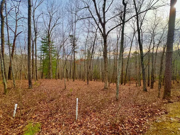 208 N Harris Creek Dr, Ellijay, GA 30540