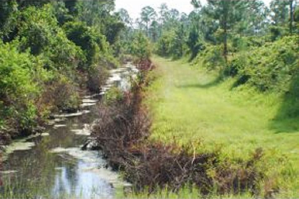 Miles & miles of trails
