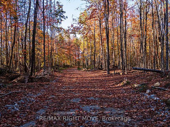 4th image of 2085 Monck Rd