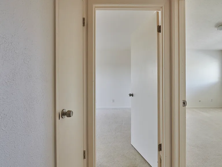 10714 Pagewood Dr — Photo 29