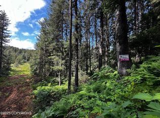 L8 B Malcolm St #12, Seldovia, AK 99663