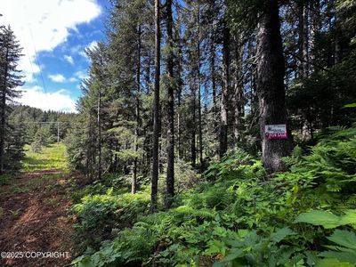 L8 B Malcolm St #12, Seldovia, AK, 99663