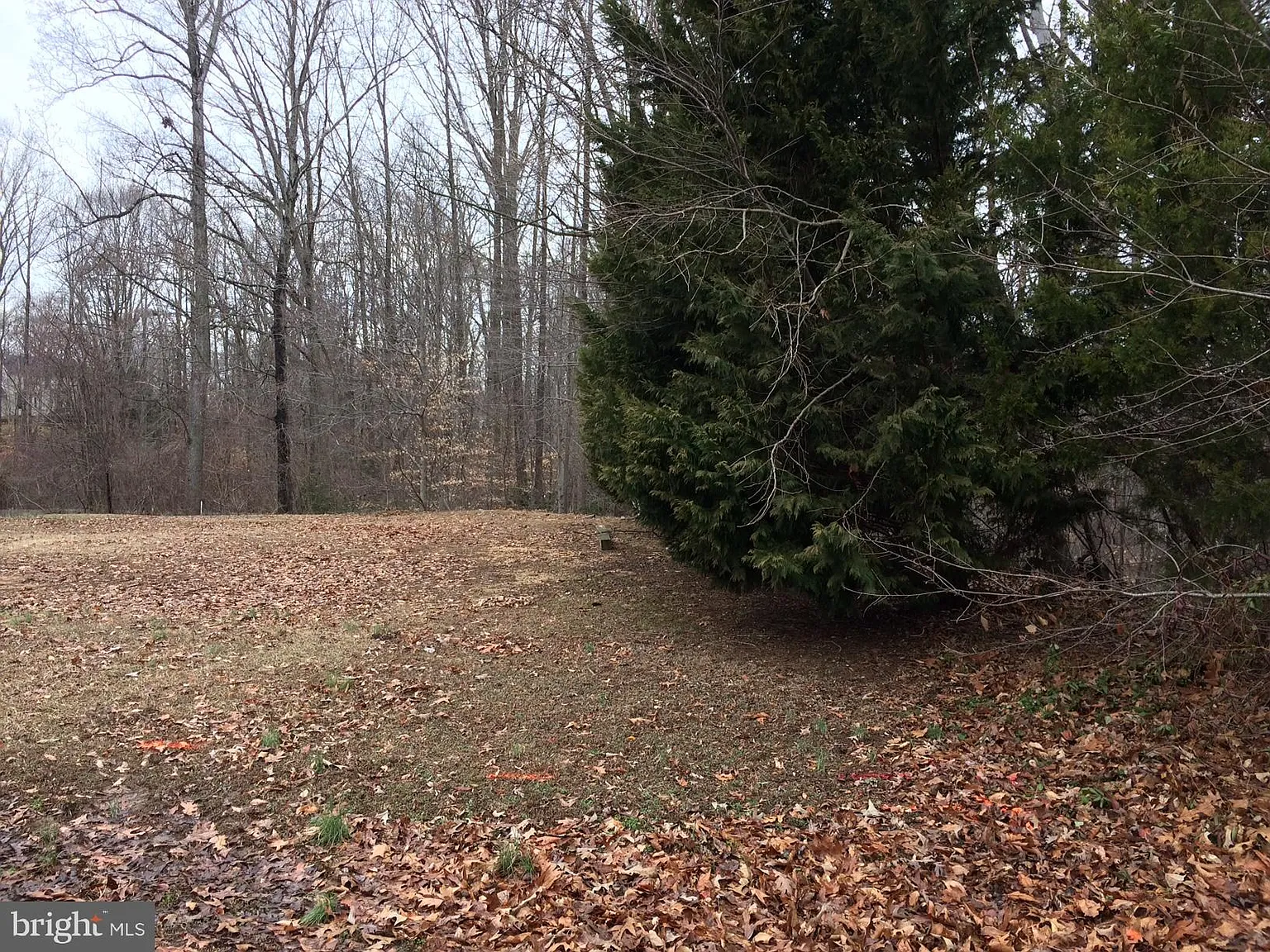 28717 Hancock Dr photo 1