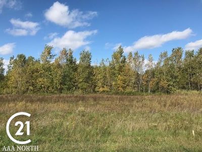 12603 Bugle Lake Dr, Romeo, MI, 48065
