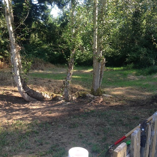 2nd image of 5609 104th St E