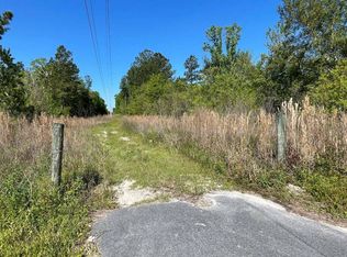 Tbd County Road 49, Live Oak, FL 32060