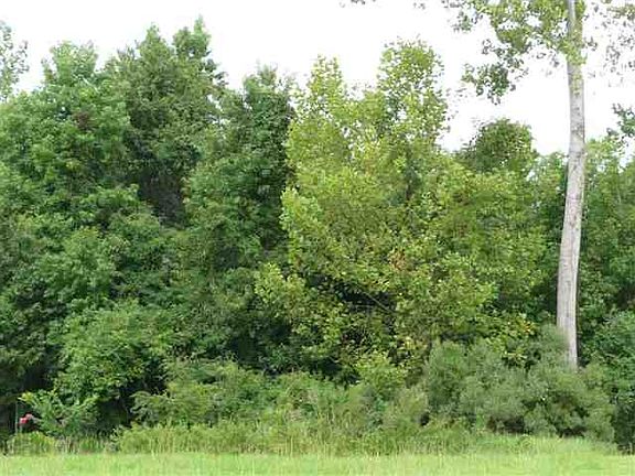 3rd image of 3080 Marsh Island Dr. Lot 193 The Bluff on the Waterway