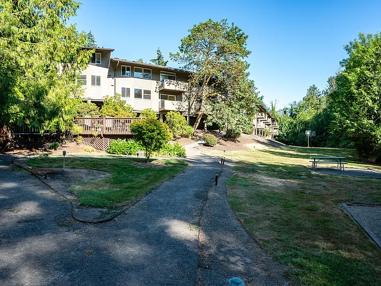 Timberlee — Photo 17