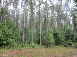 Cecil Hunter Rd #TRACT7, Moreland, GA 30259