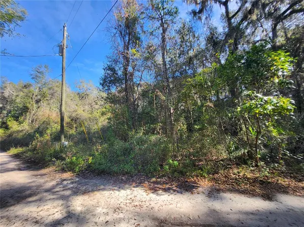 NE 164th Pl Lot 14-16, Citra, FL 32113