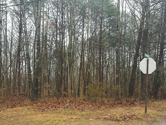 2nd image of Skyline Dr
