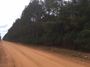 Union Road, BLAKELY, GA 39823