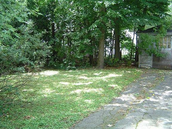 Nice level yard with tree