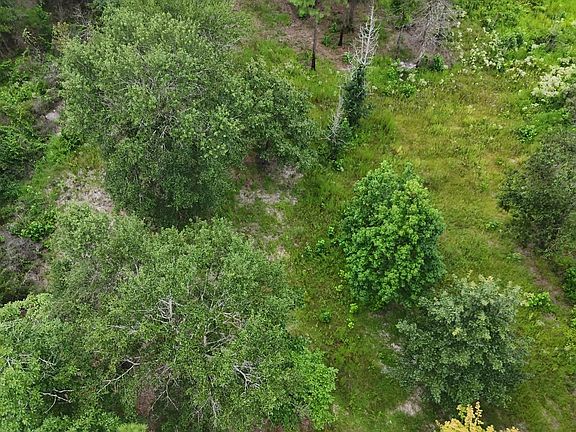 4th image of 0 Tom Marsh Rd