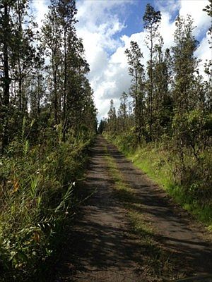 2nd image of Road 3 Hopue Lot 3208
