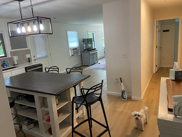 View from hallway to the Kitchen, Kitchen Door, Great room, Master BR...and Snuff