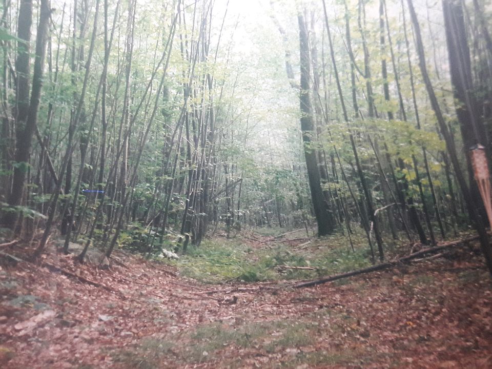 SECTION 2 Backbone Ridge Lot 7 Timber Falls Dr, Oakland, MD 21550 Zillow