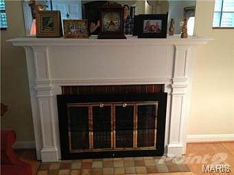 Beautiful Wood burning Fireplace