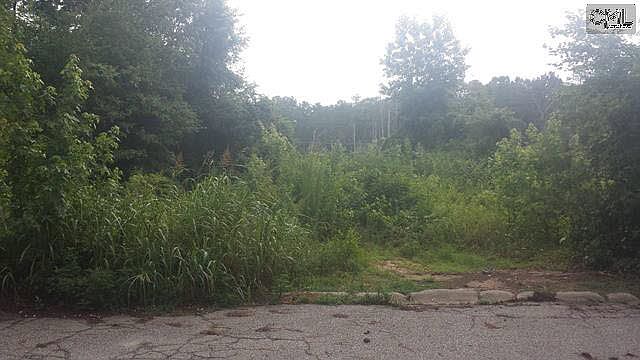 1st image of 205 Brookgreen Dr