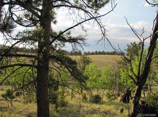 1080 Brahma Cir, Hartsel, CO 80449