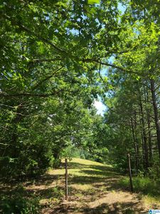 0 Turkey Hollow Ln #1, Ashville, AL, 35953