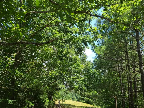 0 Turkey Hollow Ln #1, Ashville, AL 35953